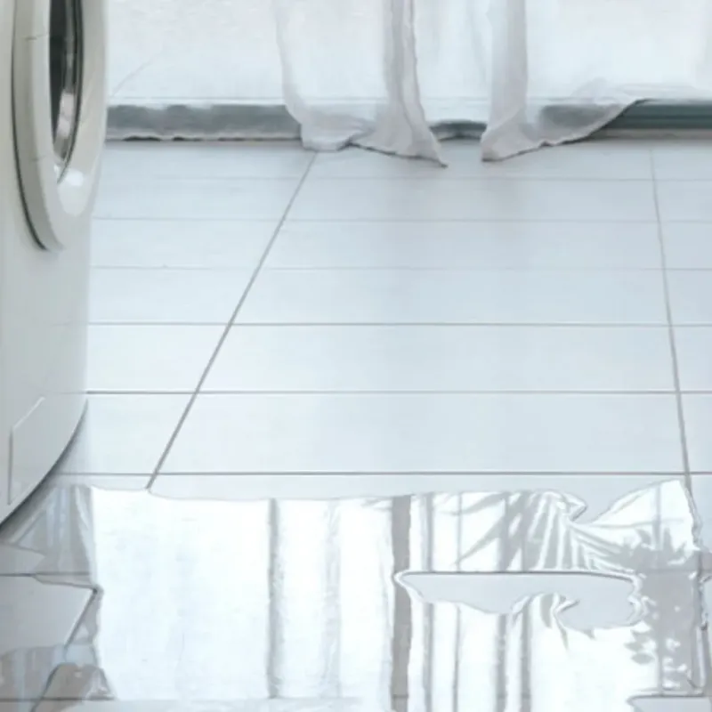 Appliance Leak Cleanup in Montezuma, GA