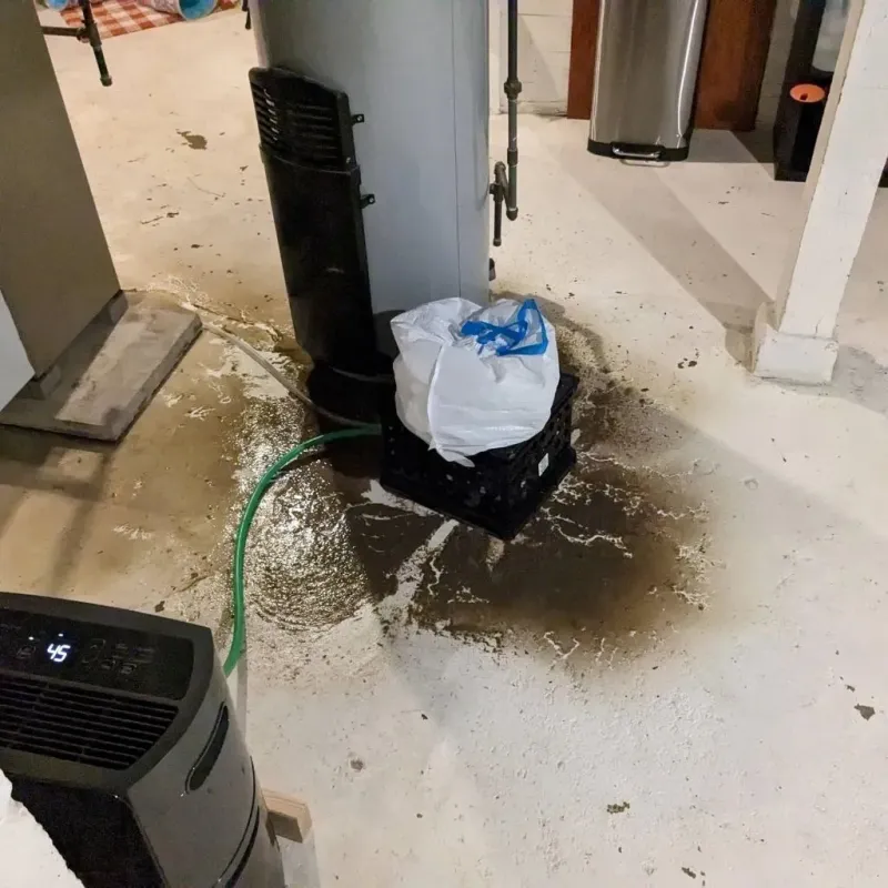 Sewage Backup Cleanup Service in Montezuma, GA